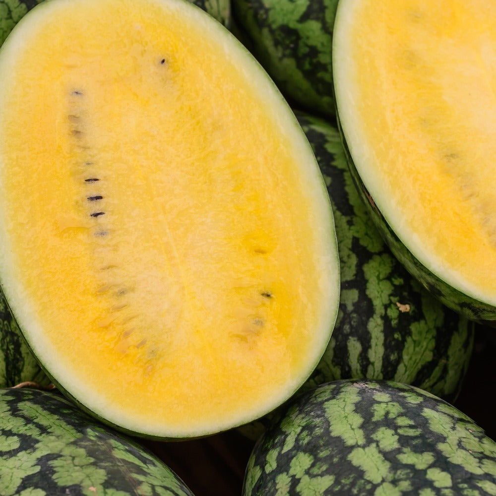Seed packet for mountain sweet yellow watermelon seeds