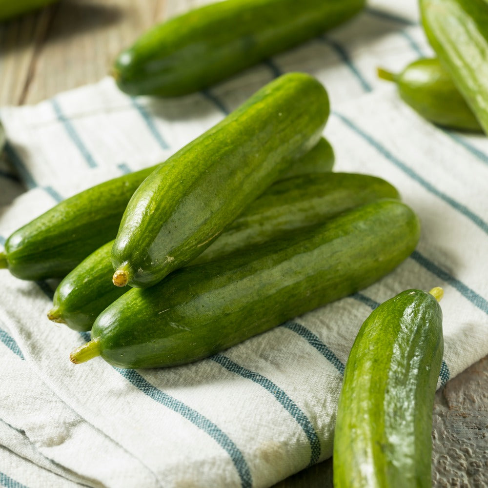 Product image of muncher persian cucumber seeds