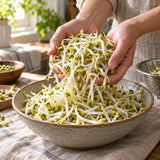 Mung Bean Sprouts Seeds harvest up close