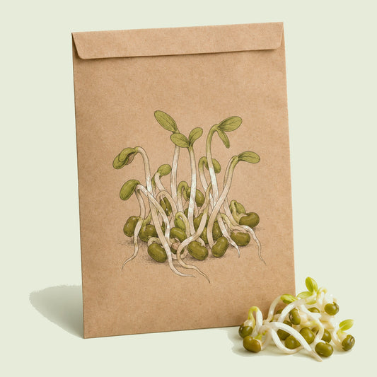 Kraft seed packet illustrated with Mung Bean Sprouts, with fresh Mung Bean Sprouts beside it