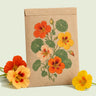 Kraft seed packet illustrated with Nasturtium Fiesta Blend Flower, with fresh Nasturtium Fiesta Blend Flower beside it