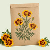 Kraft seed packet illustrated with Naughty Marietta French Marigold, with fresh Naughty Marietta French Marigold beside it