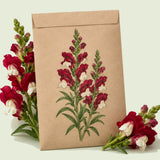 Kraft seed packet illustrated with Night and Day Snapdragon, with fresh Night and Day Snapdragon beside it
