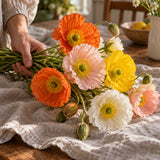 Nudicaule Iceland Poppy Blend Seeds harvest up close