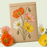 Kraft seed packet illustrated with Nudicaule Iceland Poppy Blend, with fresh Nudicaule Iceland Poppy Blend beside it