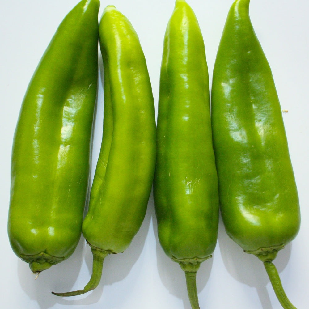 Big Jim New Mexico Chile Pepper seed packet