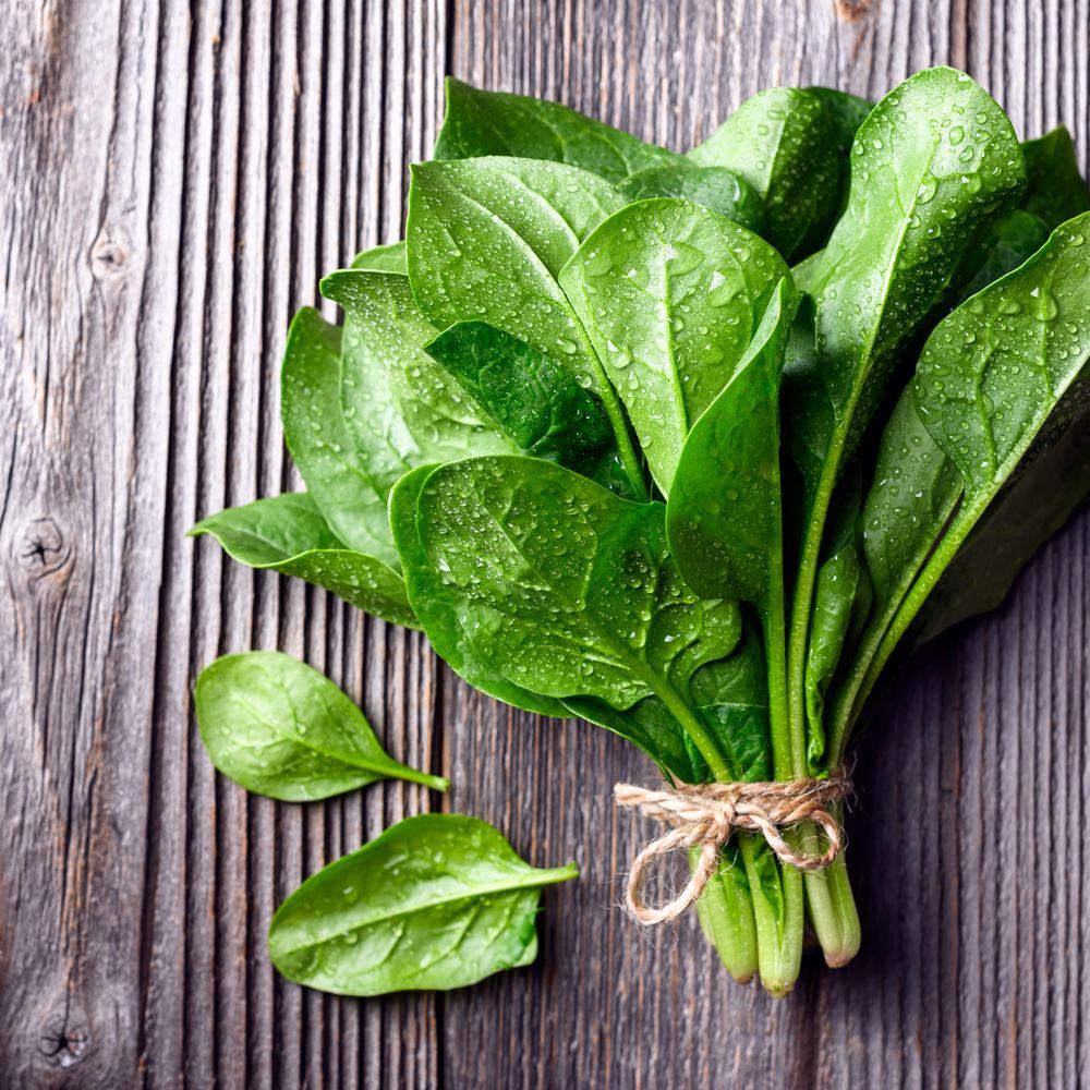 Seed packet for oceanside spinach seeds