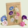 Kraft seed packet illustrated with Old and New Morning Glory Mix, with fresh Old and New Morning Glory Mix beside it