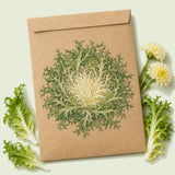 Kraft seed packet illustrated with Olesh Tres Fine Endive, with fresh Olesh Tres Fine Endive beside it