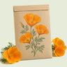Kraft seed packet illustrated with Orange California Poppy, with fresh Orange California Poppy beside it
