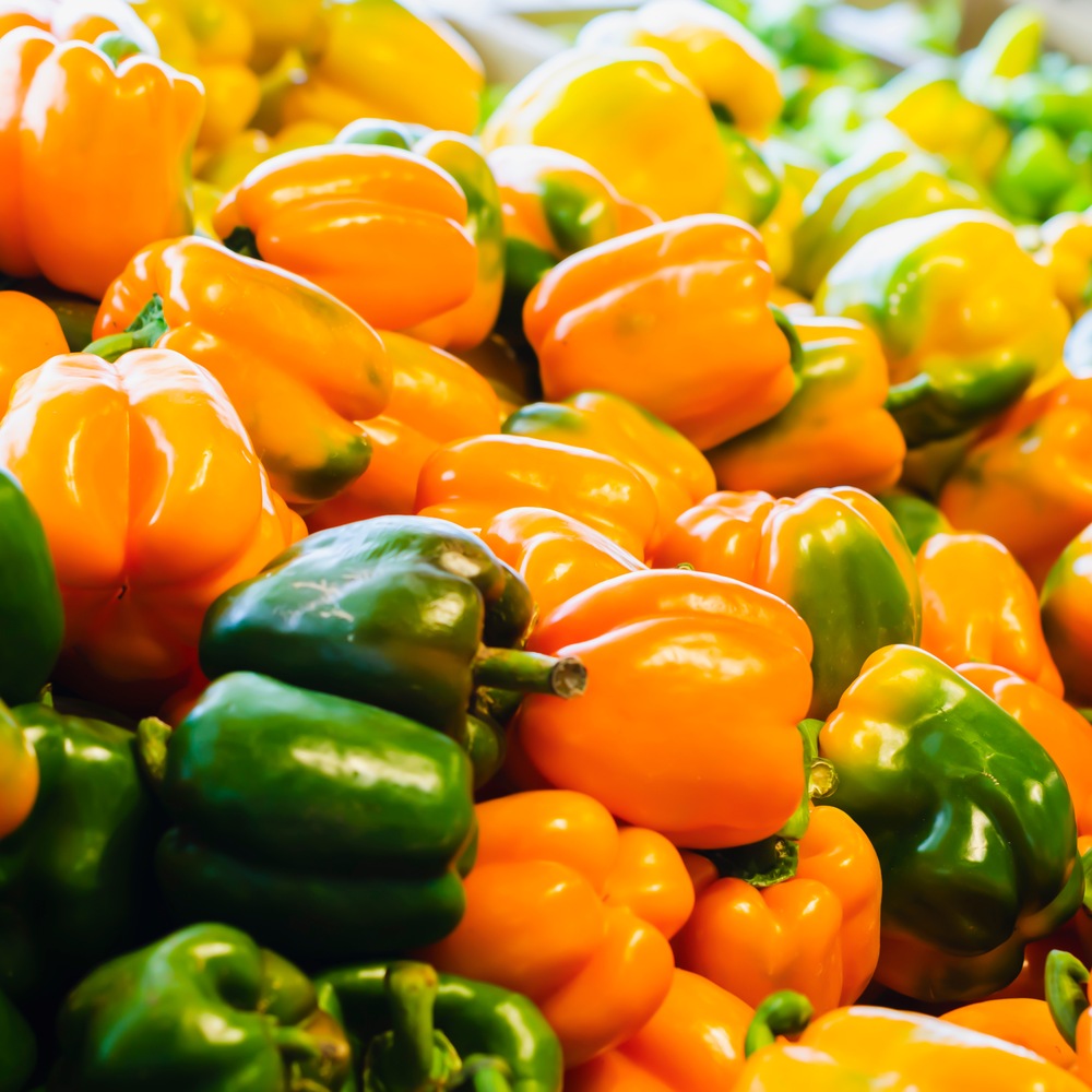 Seed packet for orange sun sweet pepper seeds