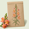 Kraft seed packet illustrated with Orange Wonder Snapdragon, with fresh Orange Wonder Snapdragon beside it