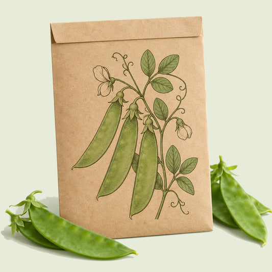 Kraft seed packet illustrated with Oregon Sugar Pod II Snow Pea, with fresh Oregon Sugar Pod II Snow Pea beside it