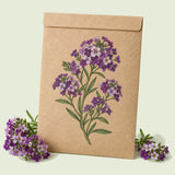 Kraft seed packet illustrated with Oriental Nights Sweet Alyssum, with fresh Oriental Nights Sweet Alyssum beside it