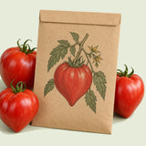 Kraft seed packet illustrated with Oxheart Pole Tomato, with fresh Oxheart Pole Tomato beside it