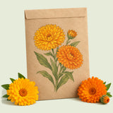 Kraft seed packet illustrated with Pacific Beauty Calendula, with fresh Pacific Beauty Calendula beside it