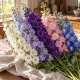Pacific Giants Delphinium Blend Seeds harvest up close