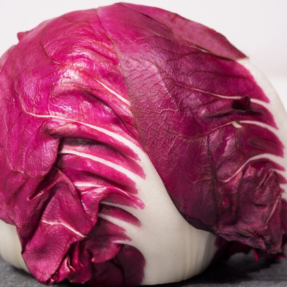 Seed packet for palla rossa mavrik radicchio seeds