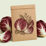 Kraft seed packet illustrated with Palla Rossa Mavrik Radicchio, with fresh Palla Rossa Mavrik Radicchio beside it
