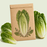 Kraft seed packet illustrated with Parris Island Cos Romaine Lettuce, with fresh Parris Island Cos Romaine Lettuce beside it