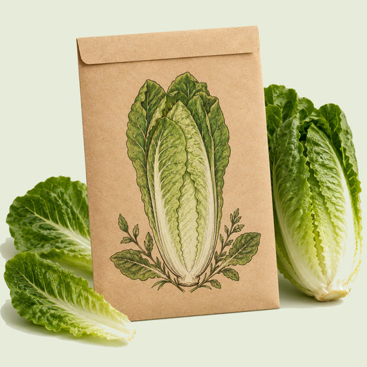 Kraft seed packet illustrated with Parris Island Cos Romaine Lettuce, with fresh Parris Island Cos Romaine Lettuce beside it