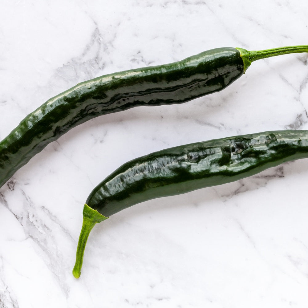 Product image of pasilla bajio chile pepper seeds