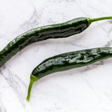 Product image of pasilla bajio chile pepper seeds