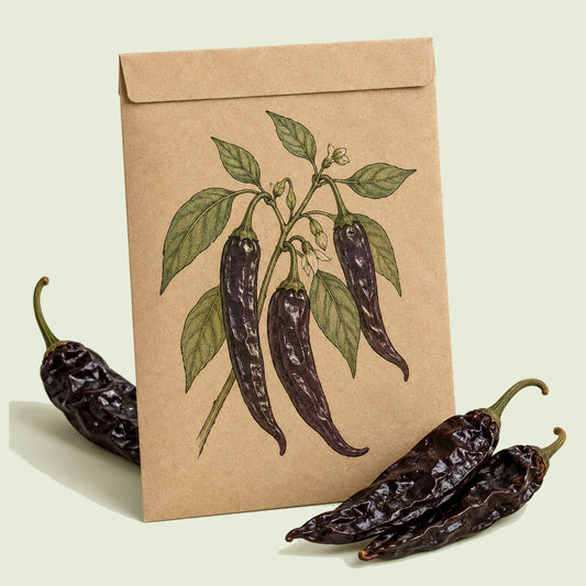 Kraft seed packet illustrated with Pasilla Bajio Chile Pepper, with fresh Pasilla Bajio Chile Pepper beside it