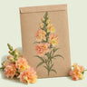 Kraft seed packet illustrated with Peach Snapdragon, with fresh Peach Snapdragon beside it