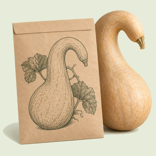 Kraft seed packet illustrated with Pennsylvania Dutch Crookneck Squash, with fresh Pennsylvania Dutch Crookneck Squash beside it