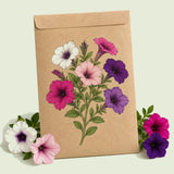 Kraft seed packet illustrated with Petite Charmer Petunia Blend, with fresh Petite Charmer Petunia Blend beside it
