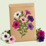 Kraft seed packet illustrated with Petite Charmer Petunia Blend, with fresh Petite Charmer Petunia Blend beside it