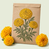 Kraft seed packet illustrated with Phyllis African Marigold, with fresh Phyllis African Marigold beside it