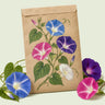 Kraft seed packet illustrated with Pinwheel Morning Glory Blend, with fresh Pinwheel Morning Glory Blend beside it