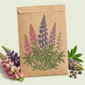 Kraft seed packet illustrated with Pixie Delight Lupine, with fresh Pixie Delight Lupine beside it
