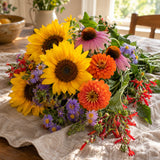 Pollinator Flower Mix Seeds harvest up close