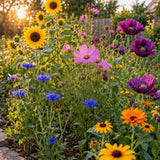 Pollinator Garden Flower Mix Seeds growing in a home garden