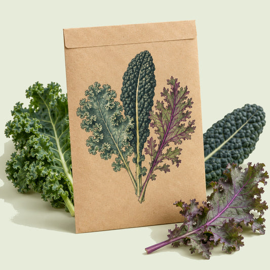 Kraft seed packet illustrated with Premier Kale Blend, with fresh Premier Kale Blend beside it
