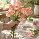 Princess Elizabeth Sweet Pea Seeds harvest up close
