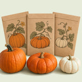 Kraft seed packet illustrated with Pumpkin Patch Seed Bundle, with fresh Pumpkin Patch Seed Bundle beside it