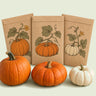 Kraft seed packet illustrated with Pumpkin Patch Seed Bundle, with fresh Pumpkin Patch Seed Bundle beside it
