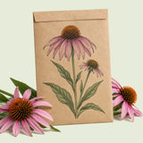 Kraft seed packet illustrated with Purple Coneflower, with fresh Purple Coneflower beside it