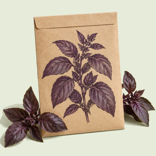 Kraft seed packet illustrated with Purple Petra Basil, with fresh Purple Petra Basil beside it
