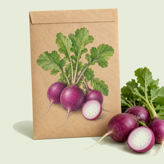 Kraft seed packet illustrated with Purple Plum Radish, with fresh Purple Plum Radish beside it