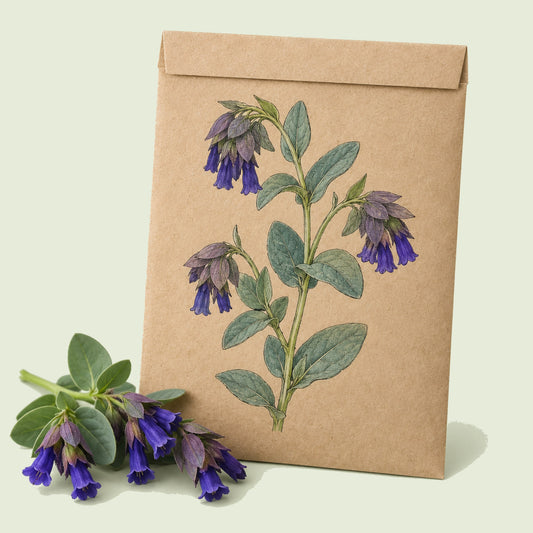Kraft seed packet illustrated with Purple Tear Honeywort, with fresh Purple Tear Honeywort beside it