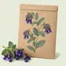 Kraft seed packet illustrated with Purple Tear Honeywort, with fresh Purple Tear Honeywort beside it