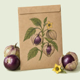 Kraft seed packet illustrated with Purple Tomatillo, with fresh Purple Tomatillo beside it