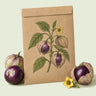 Kraft seed packet illustrated with Purple Tomatillo, with fresh Purple Tomatillo beside it
