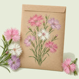 Kraft seed packet illustrated with Rainbow Loveliness Cottage Pinks, with fresh Rainbow Loveliness Cottage Pinks beside it