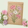 Kraft seed packet illustrated with Rainbow Loveliness Cottage Pinks, with fresh Rainbow Loveliness Cottage Pinks beside it